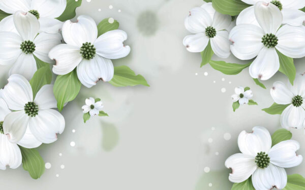 White flowers with green leaves White flowers with green leaves