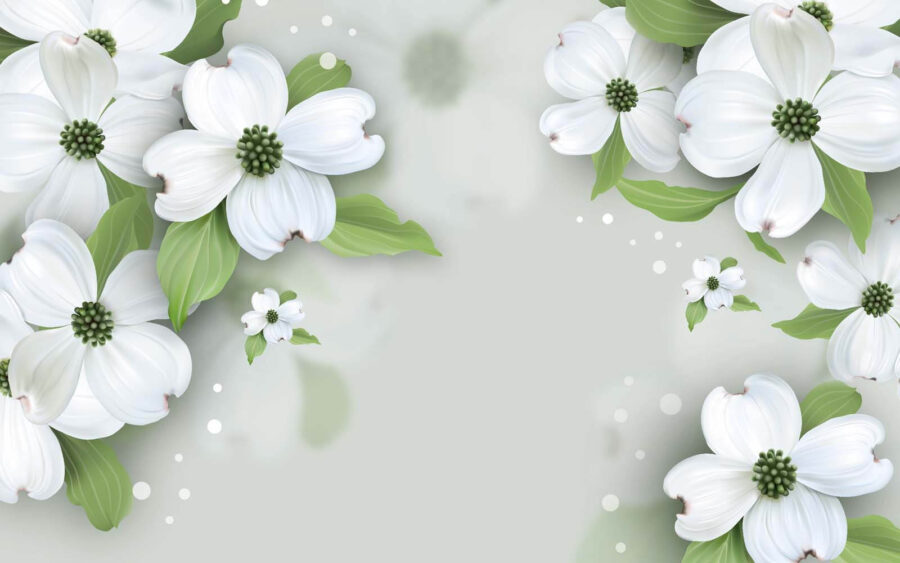White flowers with green leaves