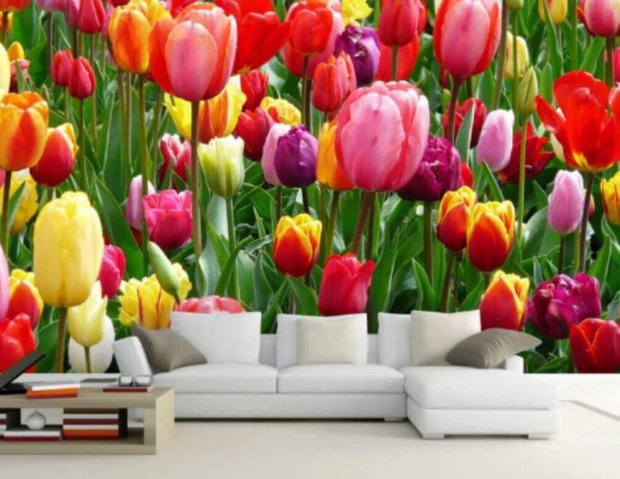 Wall murals Group of colorful tulips