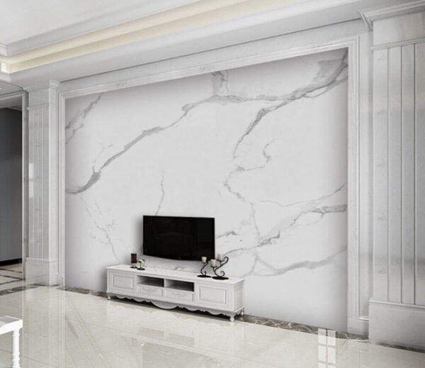 White marble with black veins White marble with black veins