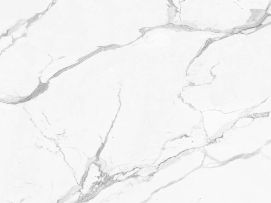 White marble with black veins