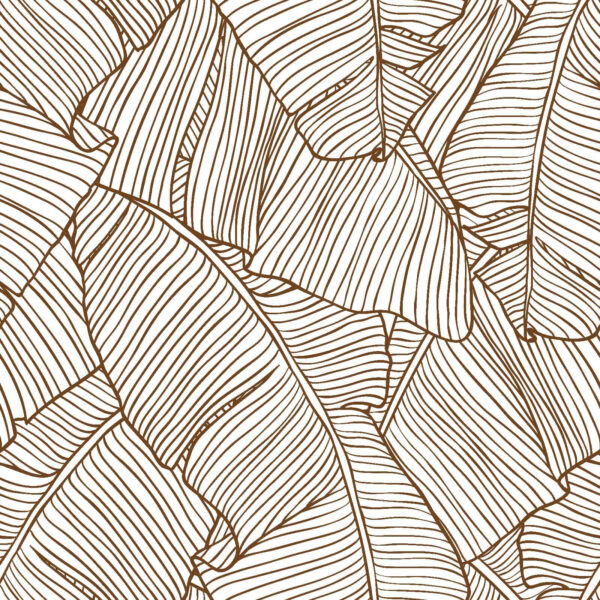 Natural patterns in elegant simplicity. Natural patterns in elegant simplicity.