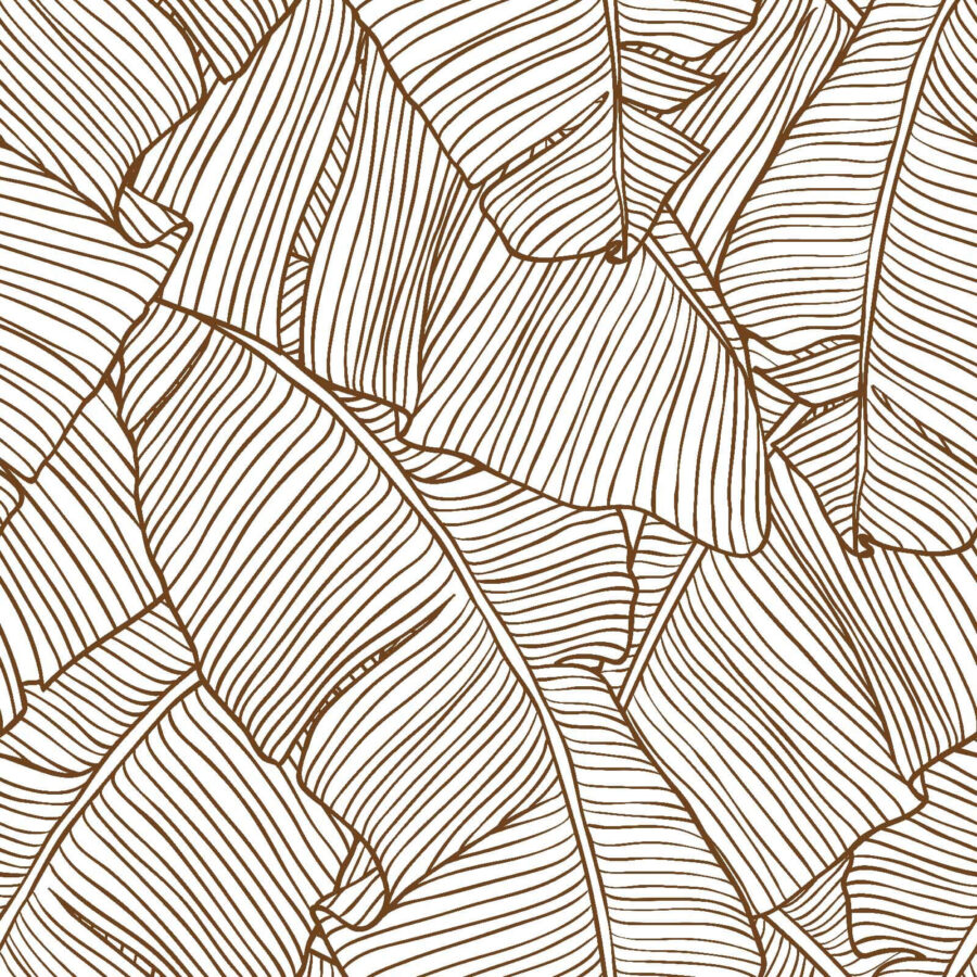 Natural patterns in elegant simplicity.
