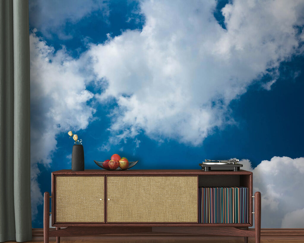 u08651pig20m 1024x819 - Blue sky with clouds - tegory