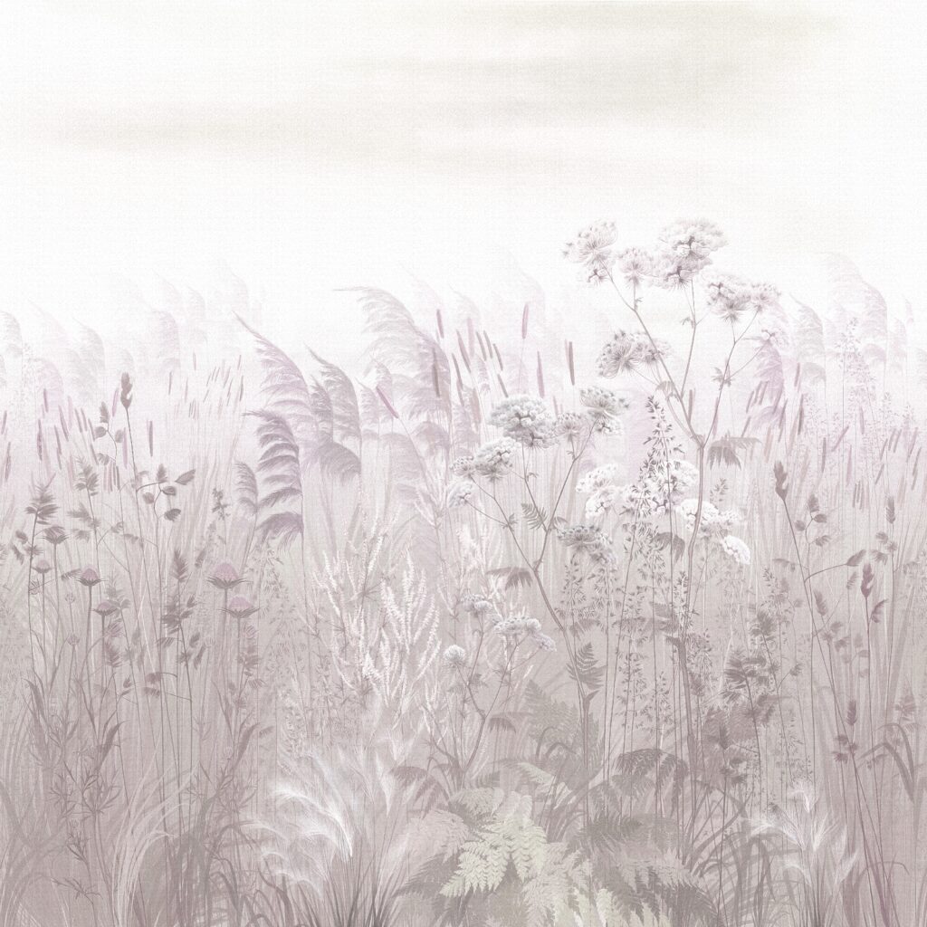 Field of flowers and plants Field of flowers and plants
