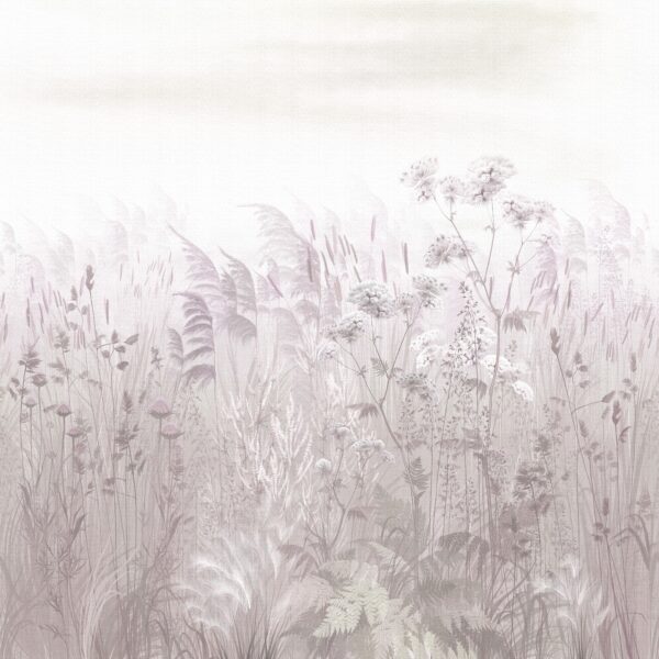 Field of flowers and plants Field of flowers and plants