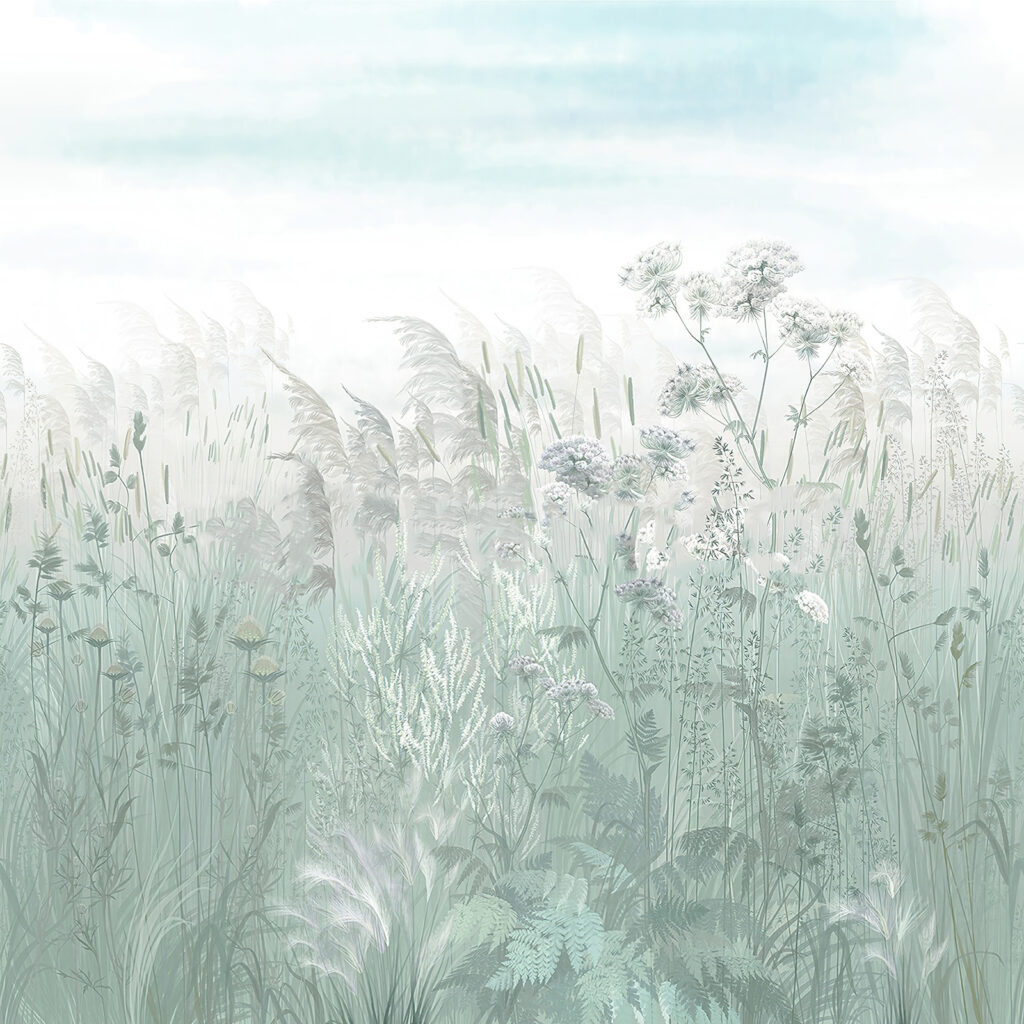 Field of grass and flowers Field of grass and flowers