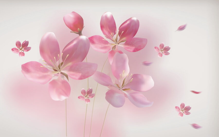 Group of pink flowers u08241p 900x563 - Group of pink flowers - tegory