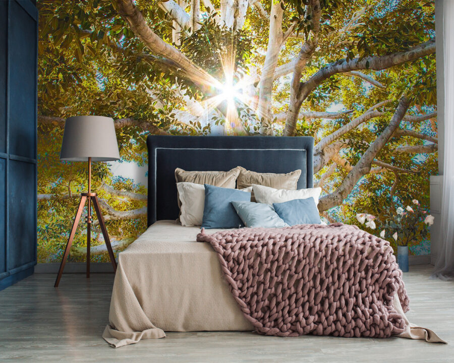 Majestic tree in radiant sunlight