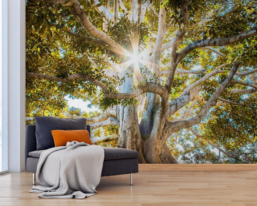 Majestic tree in radiant sunlight