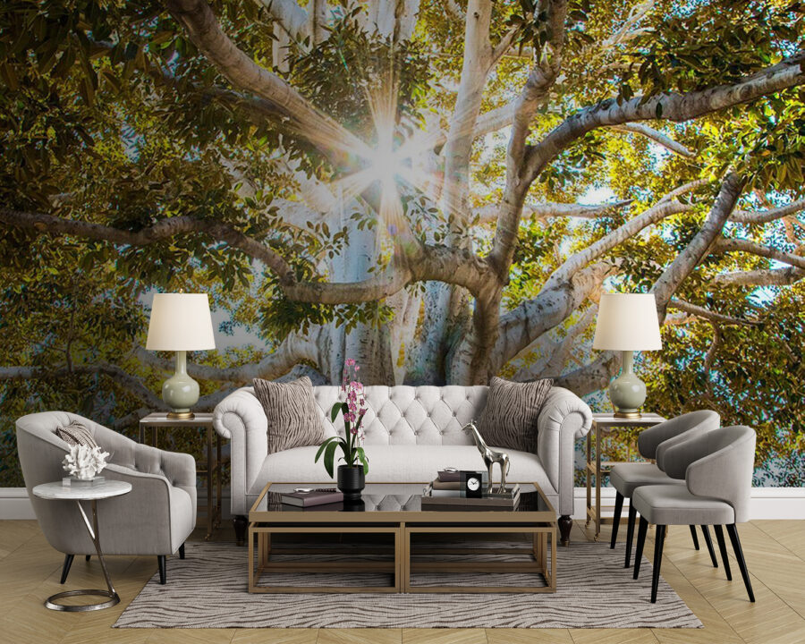 Majestic tree in radiant sunlight