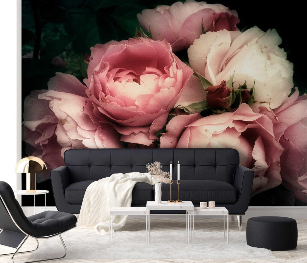Group of pink and white roses