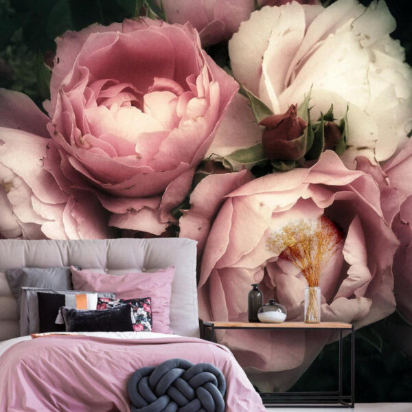 Group of pink and white roses Group of pink and white roses