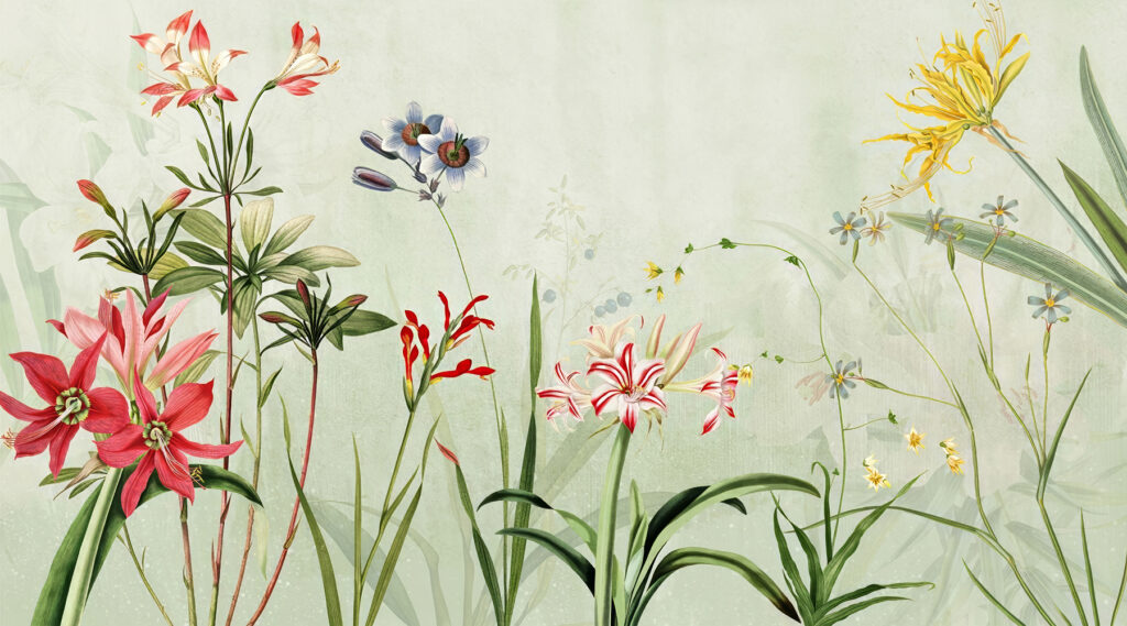 Vibrant flowers in soft green hues. Vibrant flowers in soft green hues.