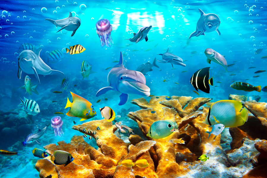 Group of fish swimming in the water