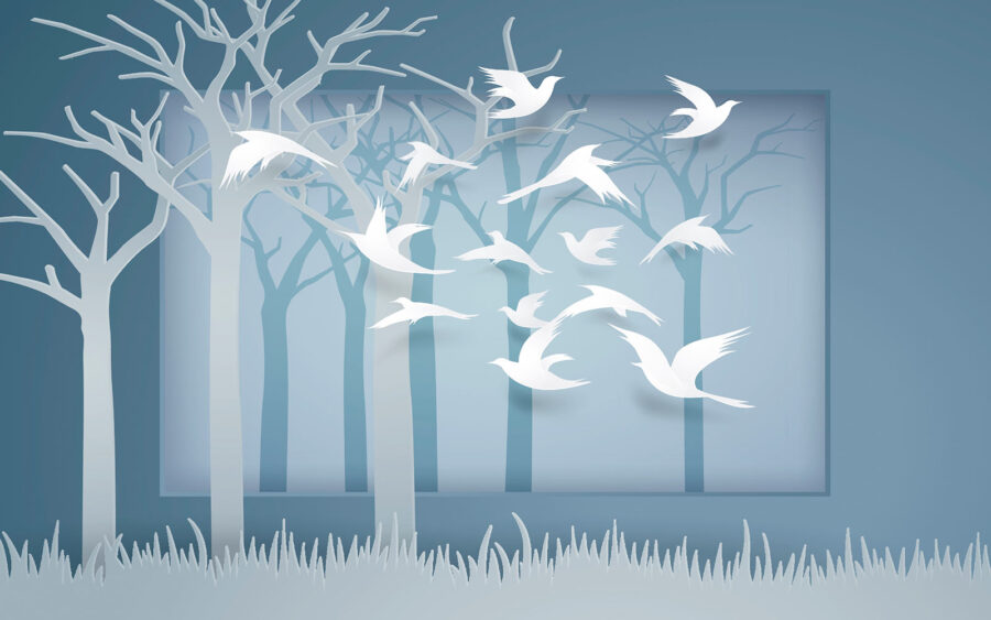 Paper cut out of birds flying in the air u05511p 900x563 - Paper cut out of birds flying in the air - tegory