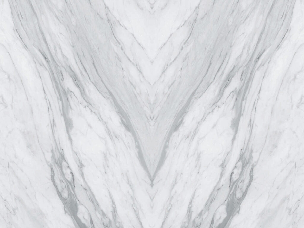 White marble surface with black veins White marble surface with black veins