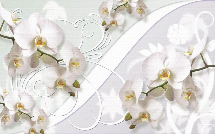 Wall murals Delicate orchids in soft hues - Image 3