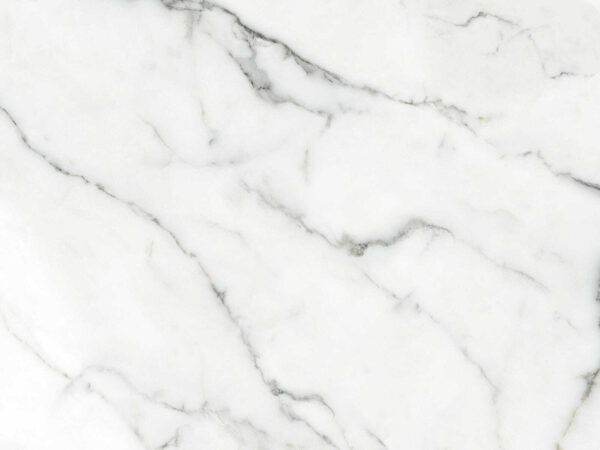 White marble with black veins White marble with black veins