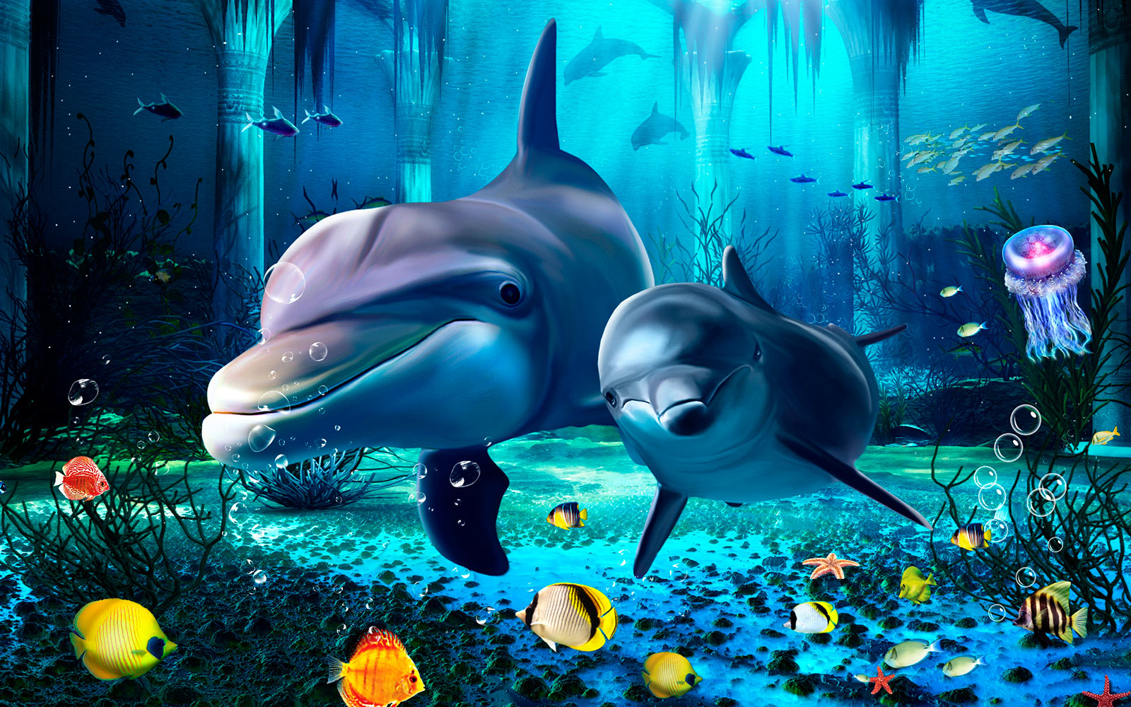Couple of dolphins swimming in a sea u09688p - Couple of dolphins swimming in a sea - tegory