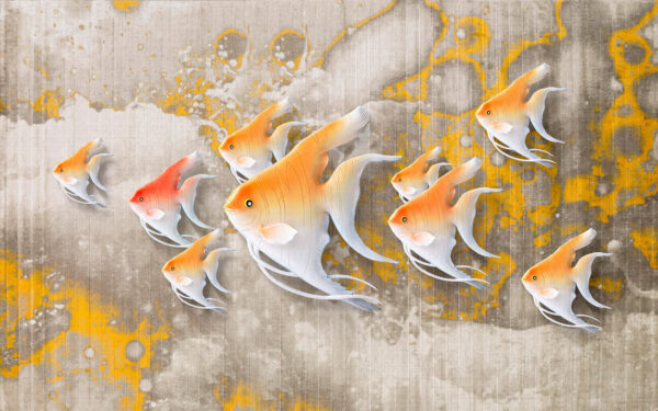 Colorful fish swimming together gracefully. Colorful fish swimming together gracefully.