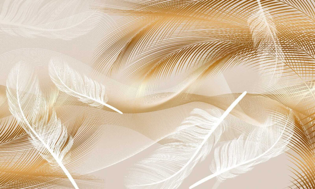 Elegant feathers in soft waves. Elegant feathers in soft waves.