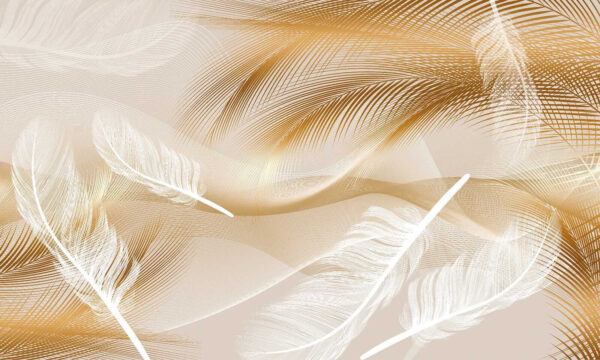 Elegant feathers in soft waves. Elegant feathers in soft waves.