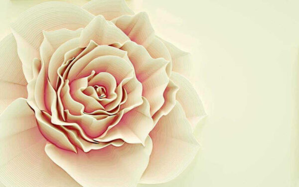 Delicate petals in soft hues Delicate petals in soft hues