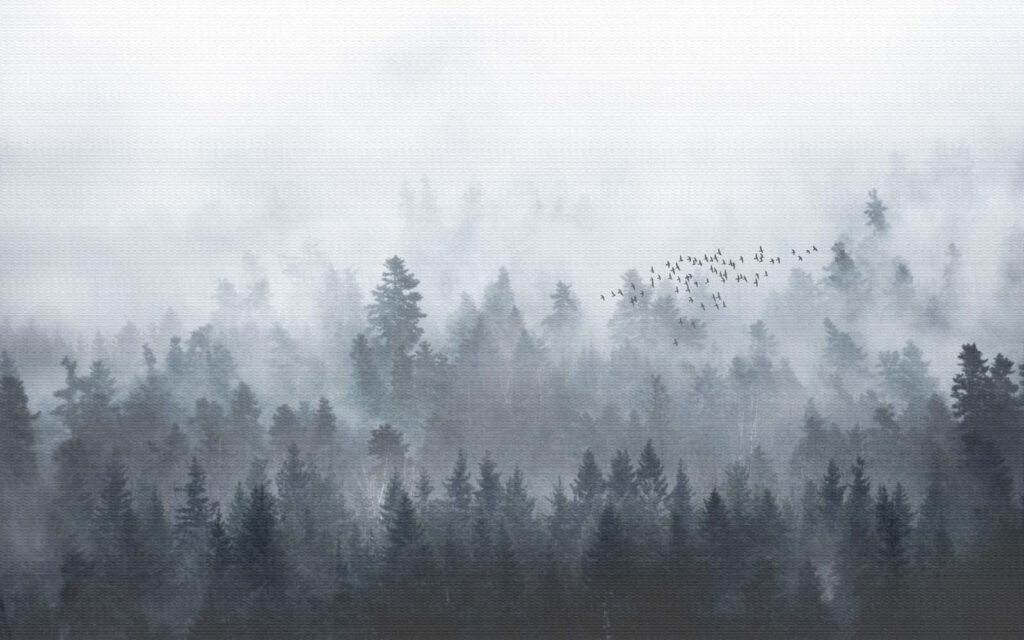 Group of birds flying over a forest Group of birds flying over a forest