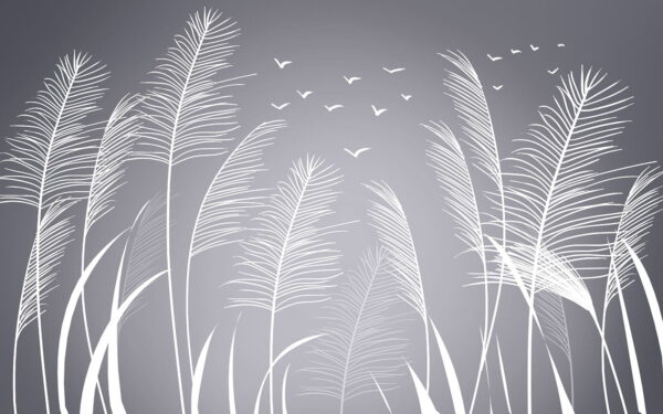White feathers and birds flying in the sky White feathers and birds flying in the sky
