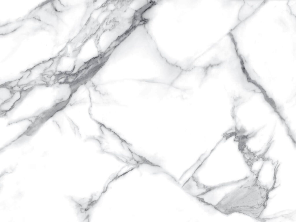 White marble with black veins White marble with black veins