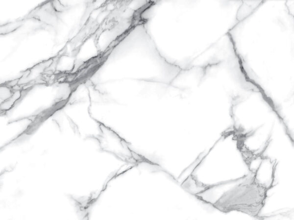 White marble with black veins White marble with black veins