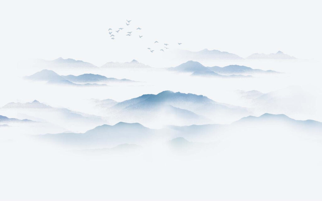 Birds flying over a foggy mountain range Birds flying over a foggy mountain range