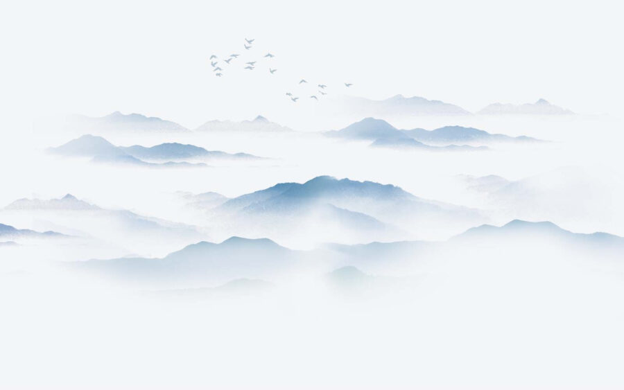 Birds flying over a foggy mountain range Birds flying over a foggy mountain range