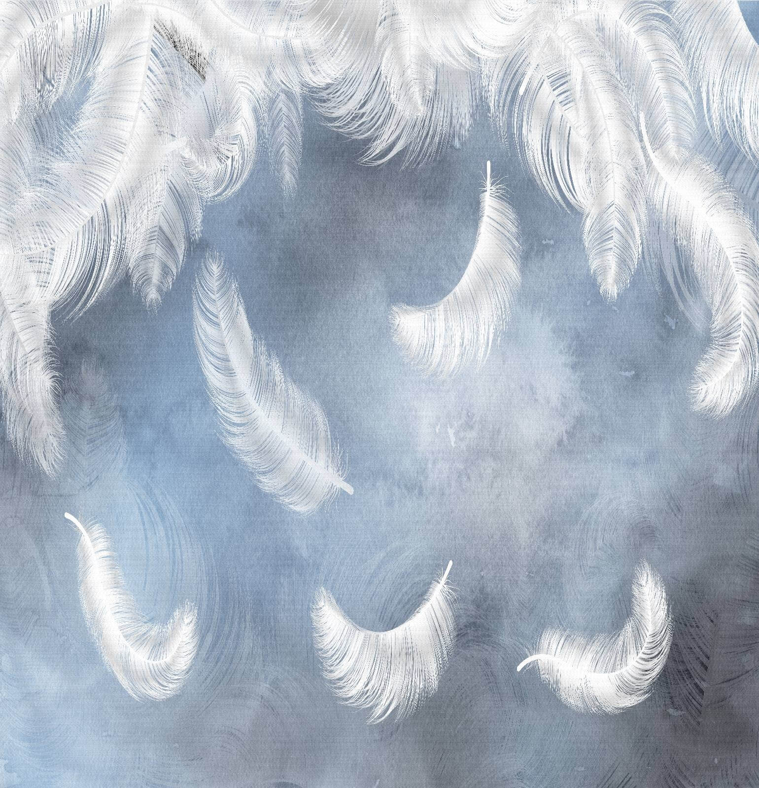 u23747p - White feathers on a blue background - tegory