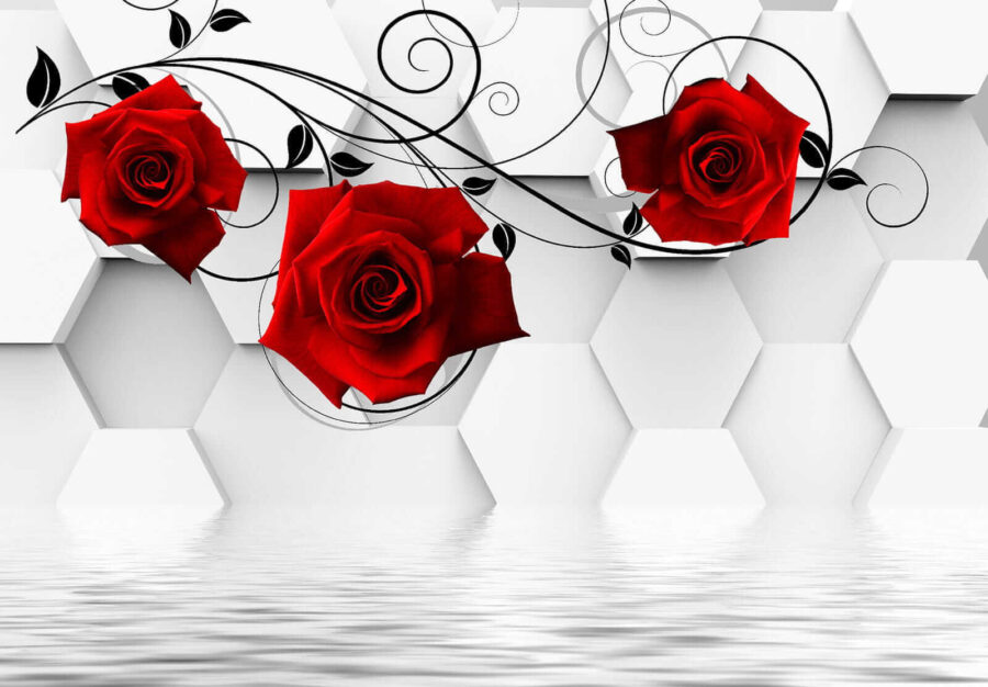 Wallpaper with red roses and black vines