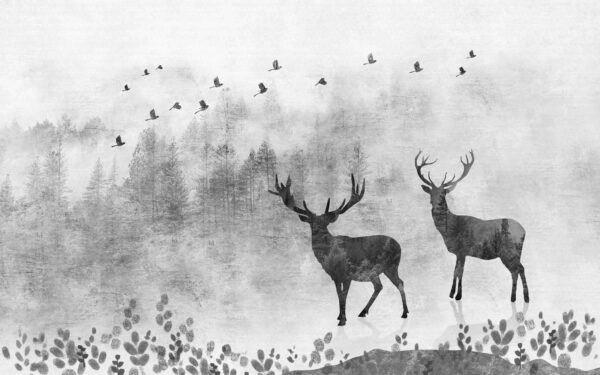 Couple of deers in a forest Couple of deers in a forest