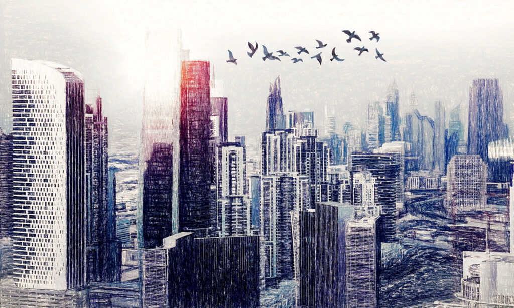 Birds flying over a city Birds flying over a city