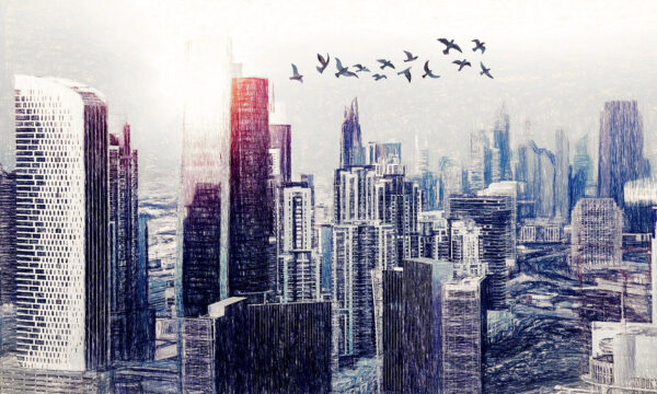 Birds flying over a city Birds flying over a city