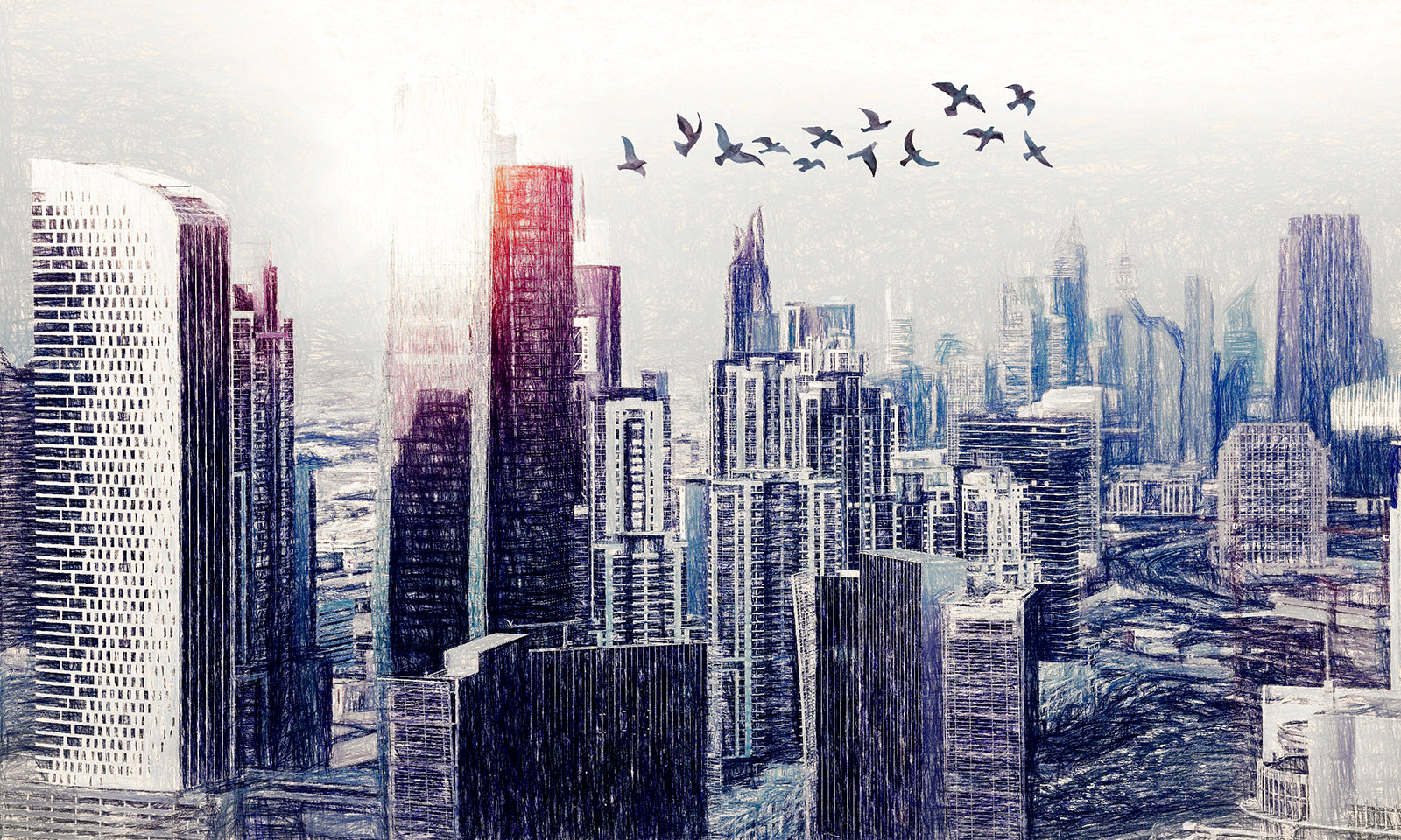 Birds flying over a city u29199p - Birds flying over a city - tegory