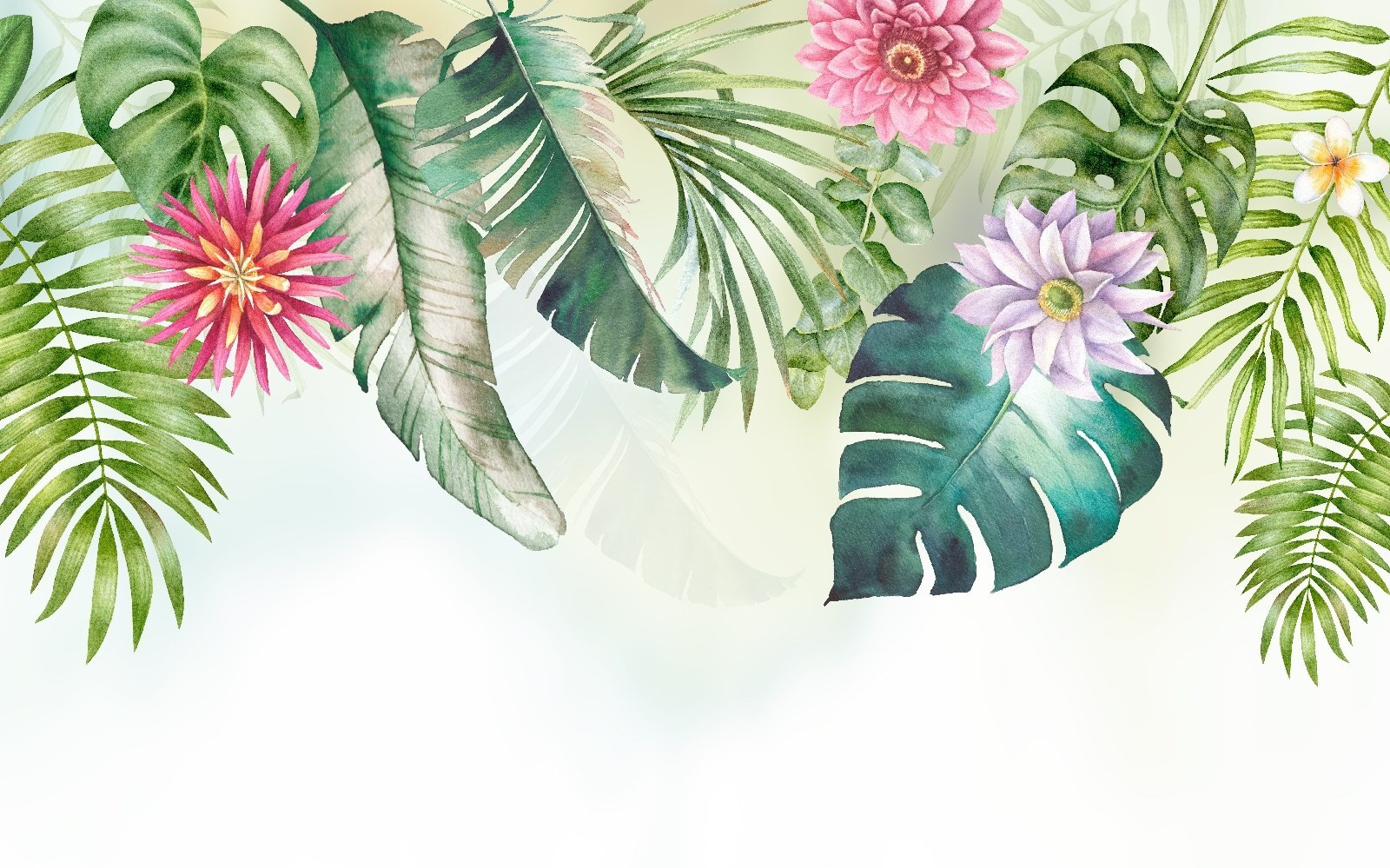 Fresh blooms and vibrant greens embrace u29530p - Fresh blooms and vibrant greens embrace - tegory