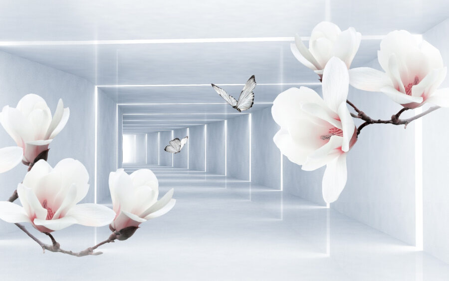 White flowers and butterflies in a room