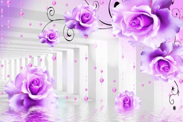 Purple roses from a ceiling Purple roses from a ceiling