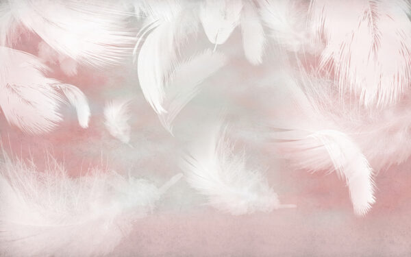 White feathers on a pink background