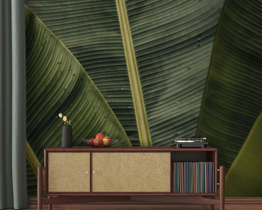 Lush green leaves with textured patterns