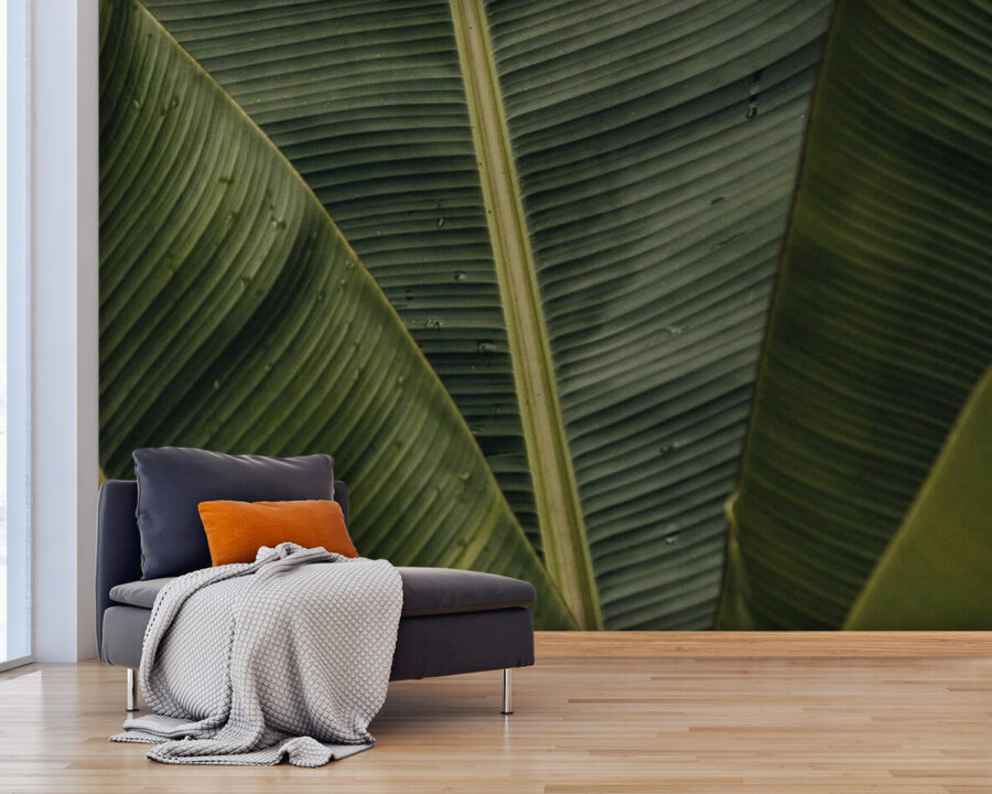 Lush green leaves with textured patterns