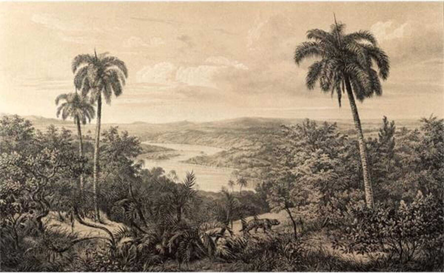 Landscape with trees and a river