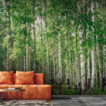 Wall mural Group of trees in a forest