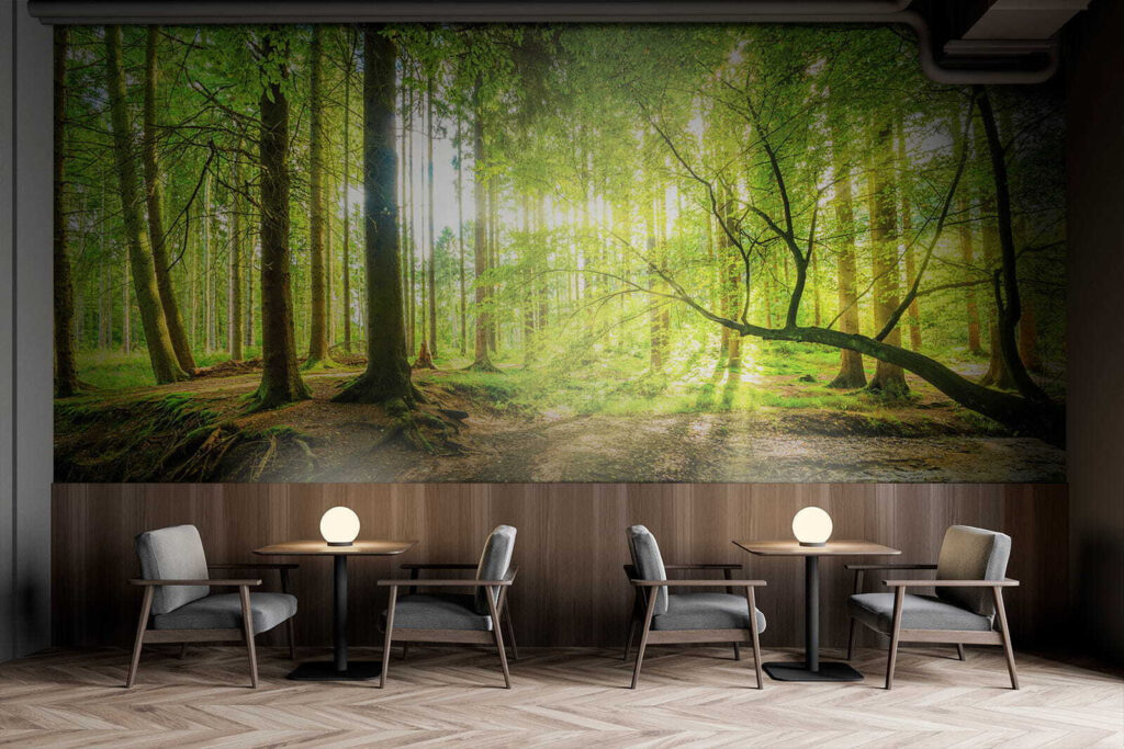 Stream in a forest Stream in a forest