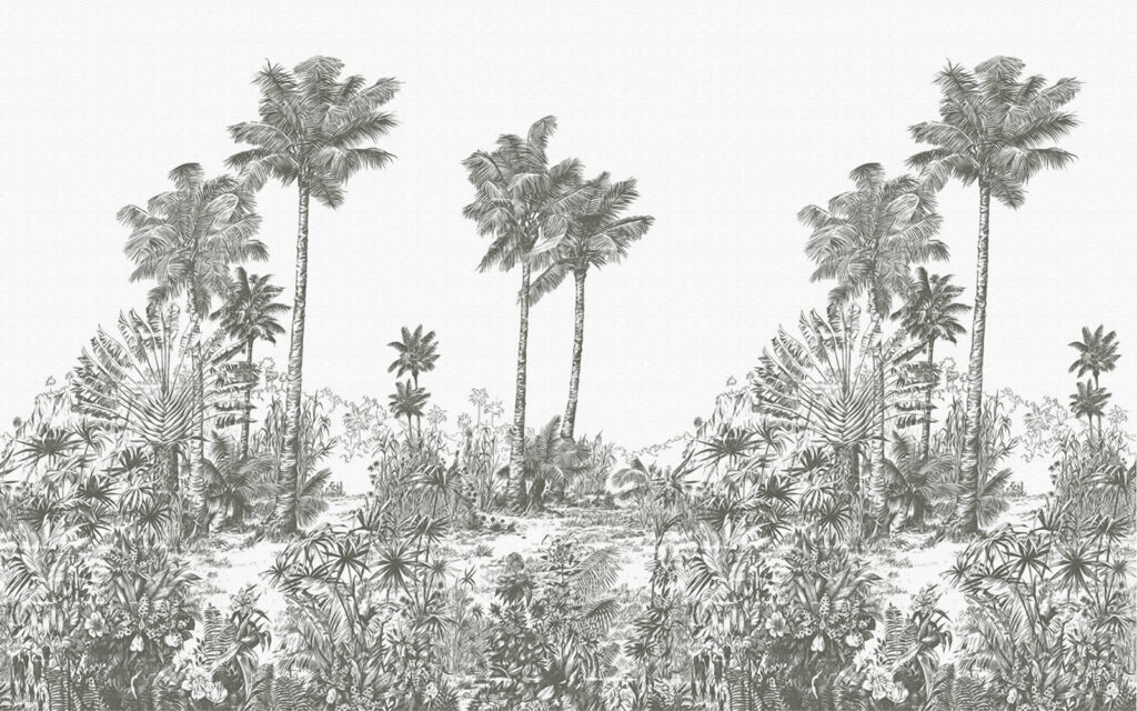 Drawing of palm trees Drawing of palm trees